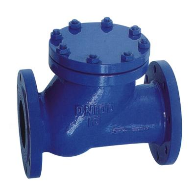 Product name: Flanged ball check valve